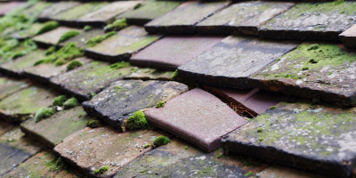 Upper Bacombe roof repair costs
